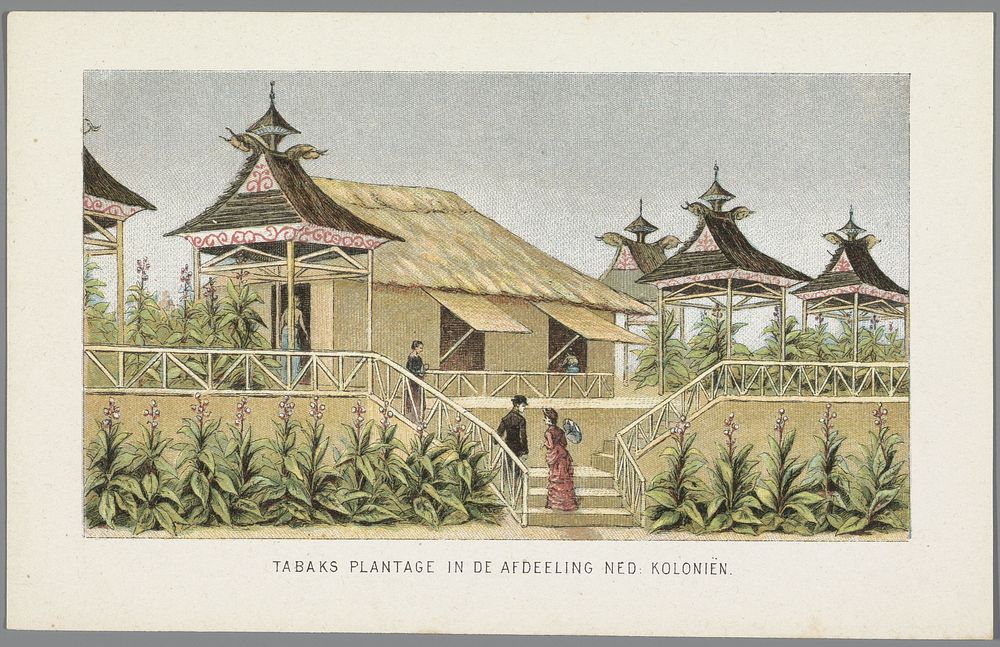 Tabaksplantage van de Nederlandse koloniën op de Wereldtentoonstelling in Amsterdam, 1883 (1883) by anonymous, Emrik and…