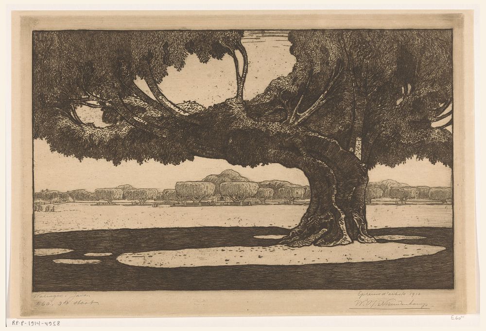 Waringinbomen in de tuin van het paleis van de sultan in Jogyakarta (1910) by Wijnand Otto Jan Nieuwenkamp