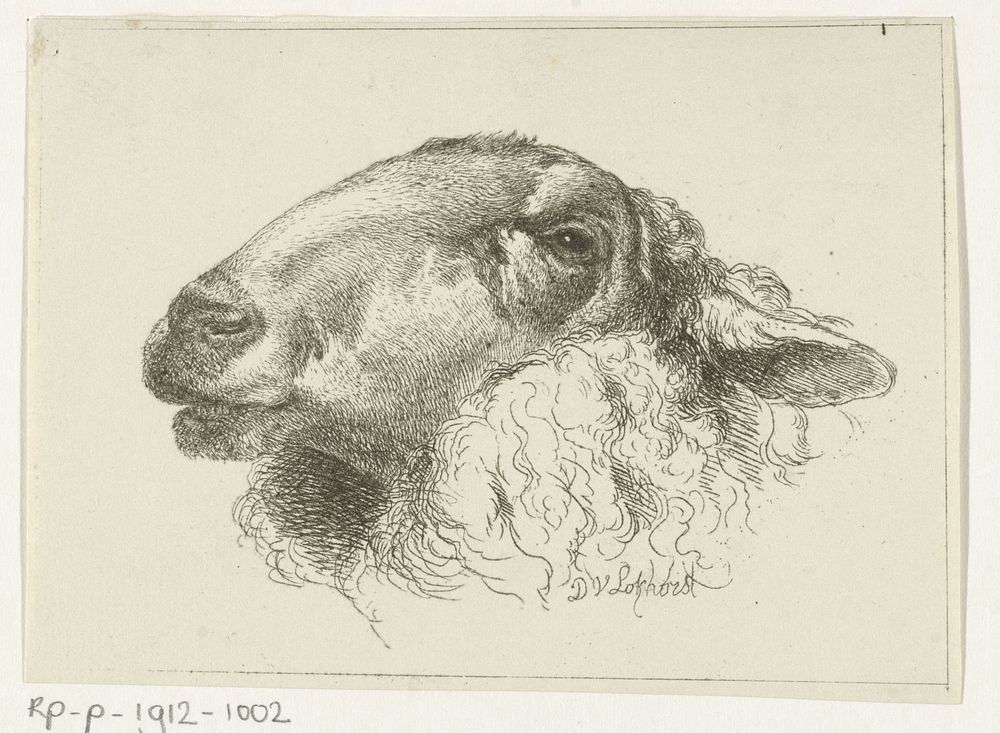 Kop van een schaap, naar links (1828 - 1893) by Dirk van Lokhorst