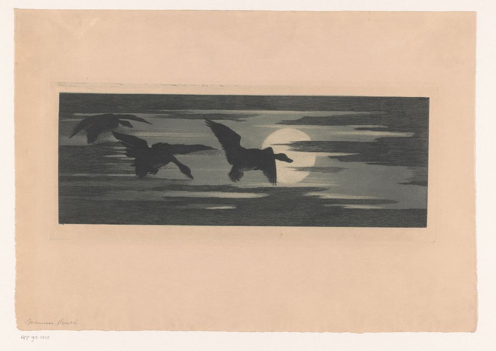 Drie eenden trekkend langs de ondergaande zon (1895) by Marc Henry Meunier