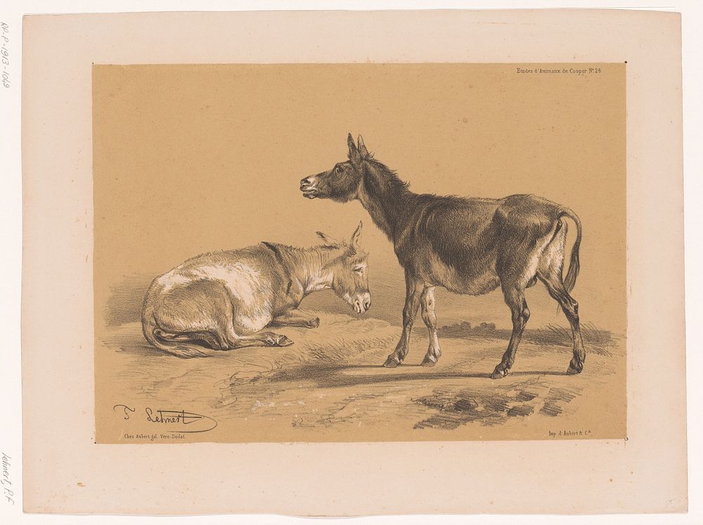 Studie van twee ezels (1838 - 1840) by Pierre Frédéric Lehnert, Aubert and Cie and Aubert and Cie