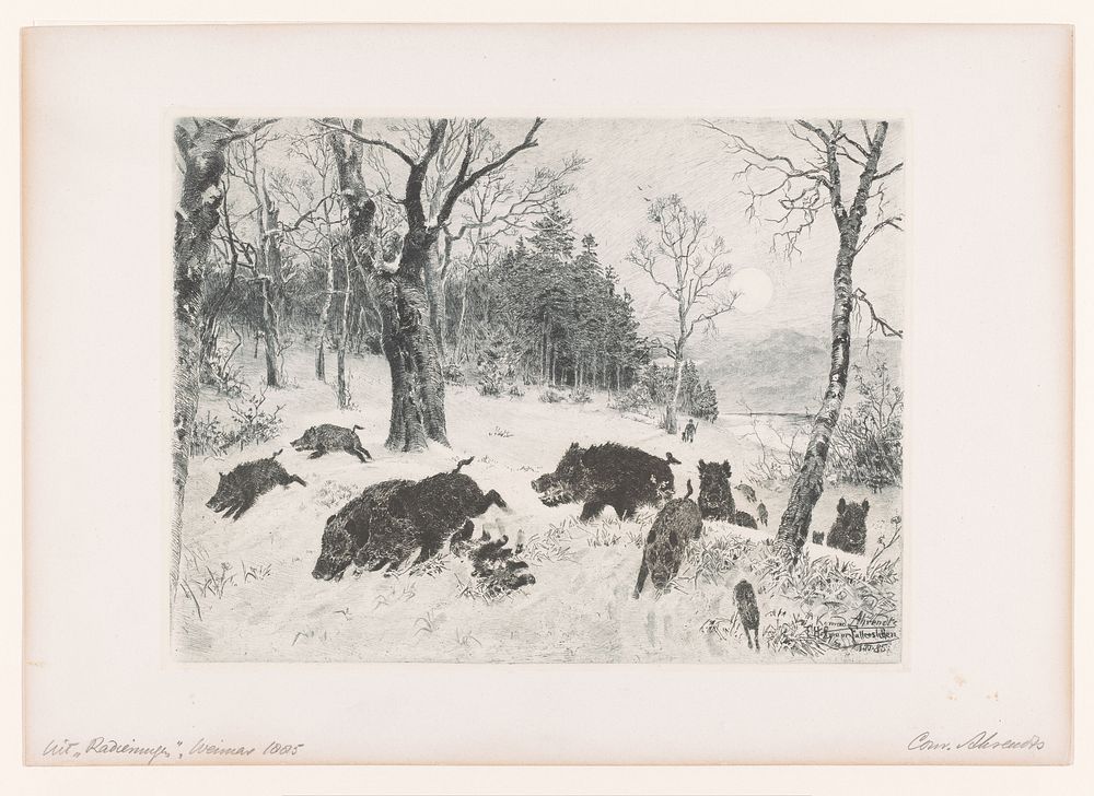 Vluchtende zwijnen in de sneeuw (1885) by Conrad Ahrendts, Hans Joachim Hoffmann Fallersleben and Weimarer Radierverein