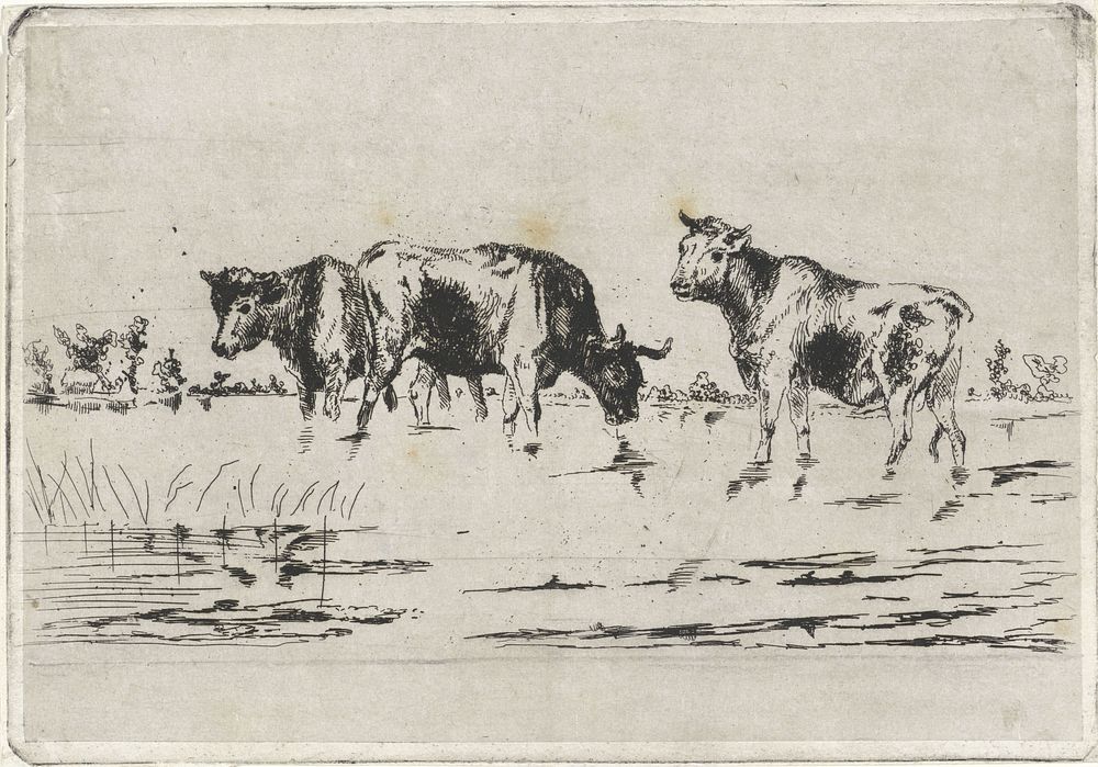 Koeien in een ondergelopen weiland (1831 - 1904) by Arnoud Schaepkens