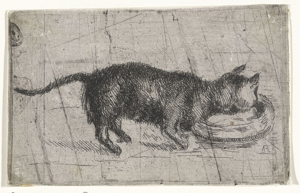 Drinkende kat (1831 - 1904) by Arnoud Schaepkens