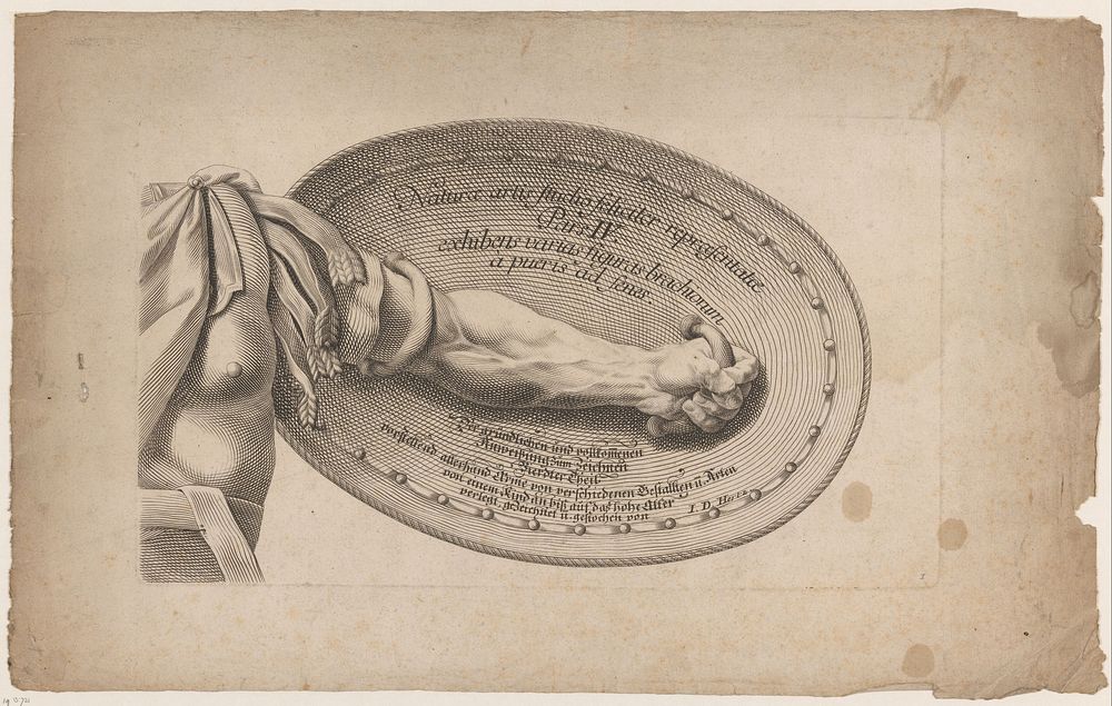 Arm met een schild (1723) by Johann Daniel Herz I and Johann Daniel Herz I