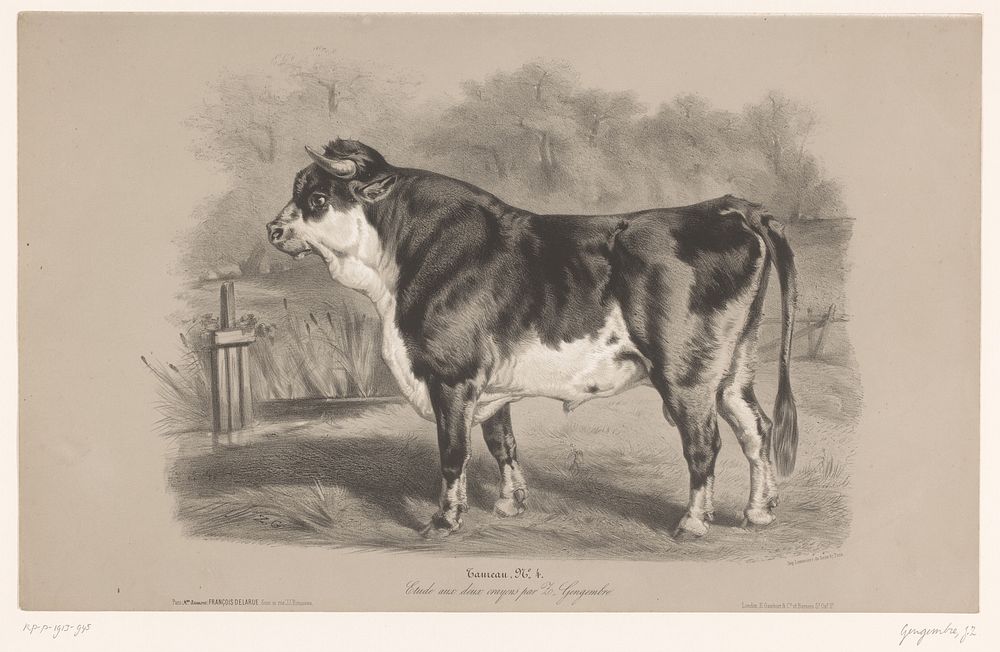 Stier in een weiland (c. 1850 - in or before 1870) by Joseph Zephyris Gengembre, Joseph Rose Lemercier, François Delarue and…
