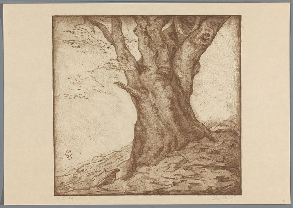 Beukenstam (1923) by Simon Moulijn