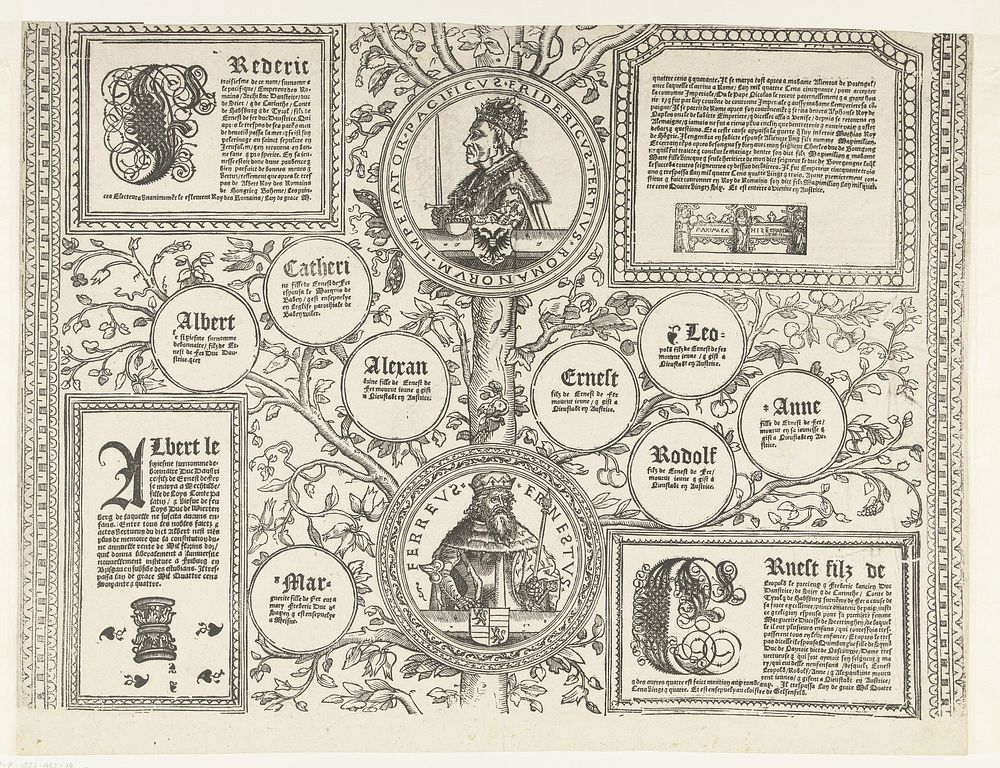 Stamboom van het Habsburgse huis, blad veertien (1533 - 1535) by Robert Péril and Robert Péril
