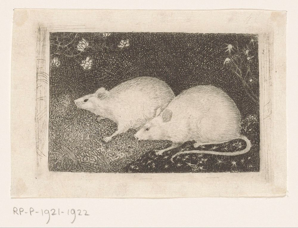 Twee muizen (1916) by Jan Mankes