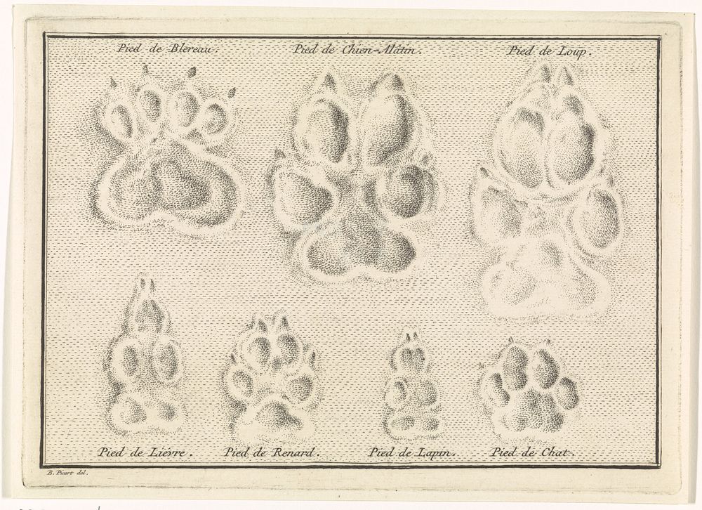 Blad met voetsporen van dieren (1730) by Bernard Picart and Bernard Picart