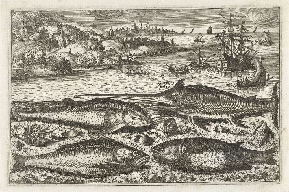Vier vissen op het strand (1598 - 1620) by anonymous, Adriaen Collaert and Nicolaes Visscher I