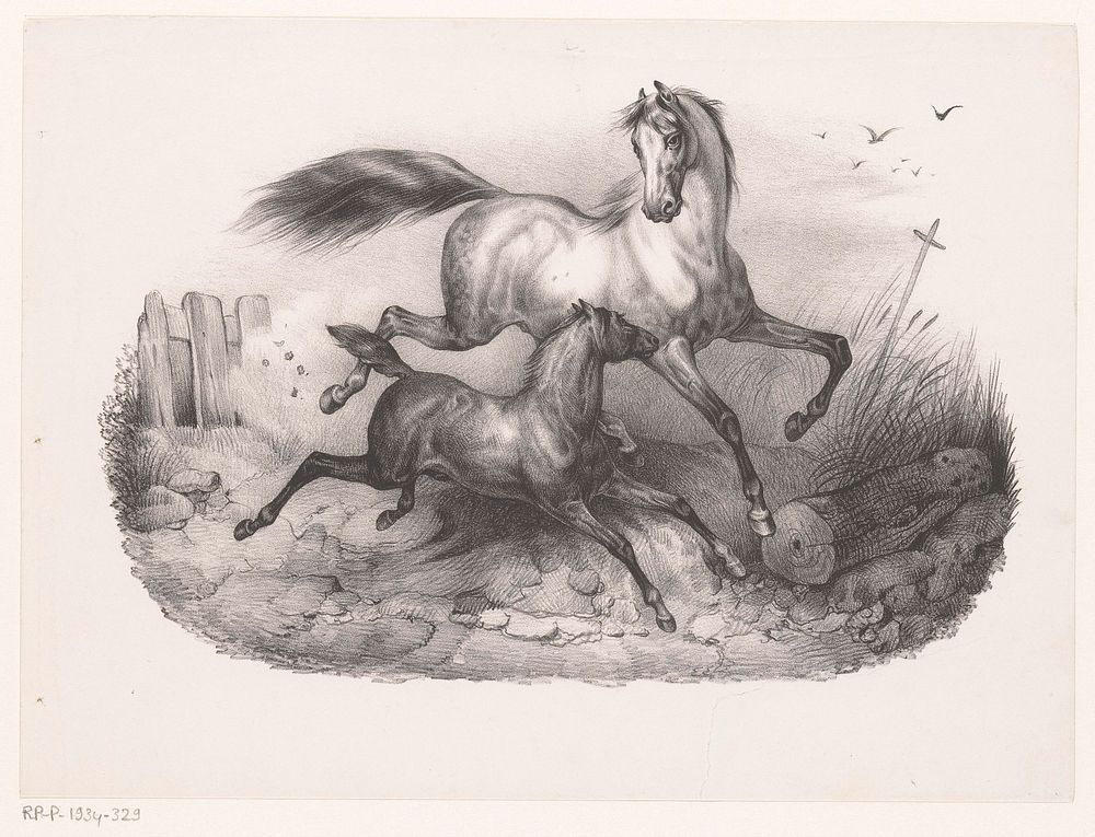 Merrie met veulen in galop (1811 - 1866) by Victor Adam
