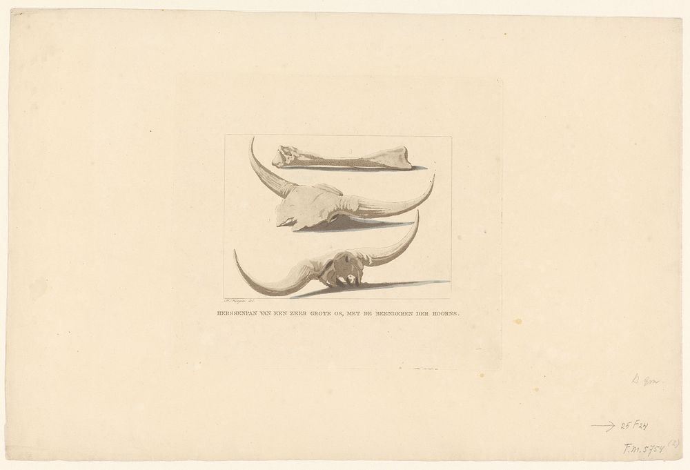 Fossiele beenderen van een oeros, gevonden tijdens de watersnood, 1809 (1809 - 1810) by Anthonie van den Bos and Hendrik…