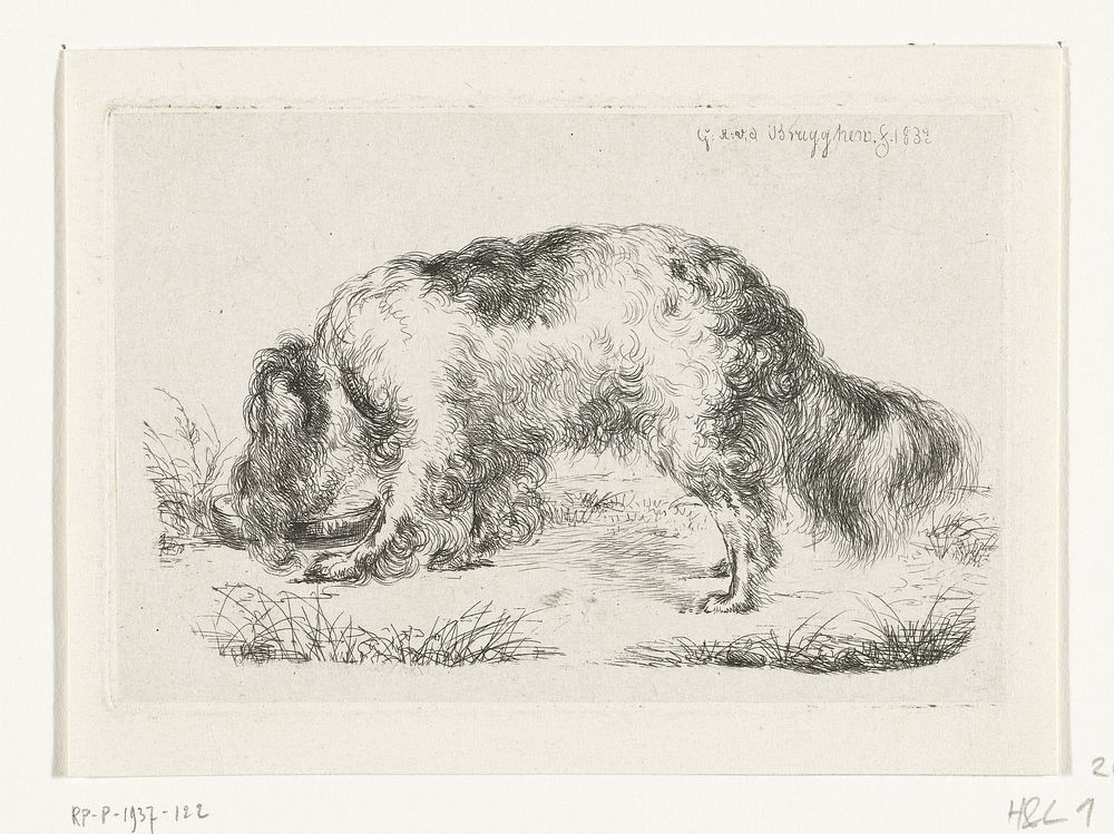 Drinkende hond (1832) by Guillaume Anne van der Brugghen and Guillaume Anne van der Brugghen