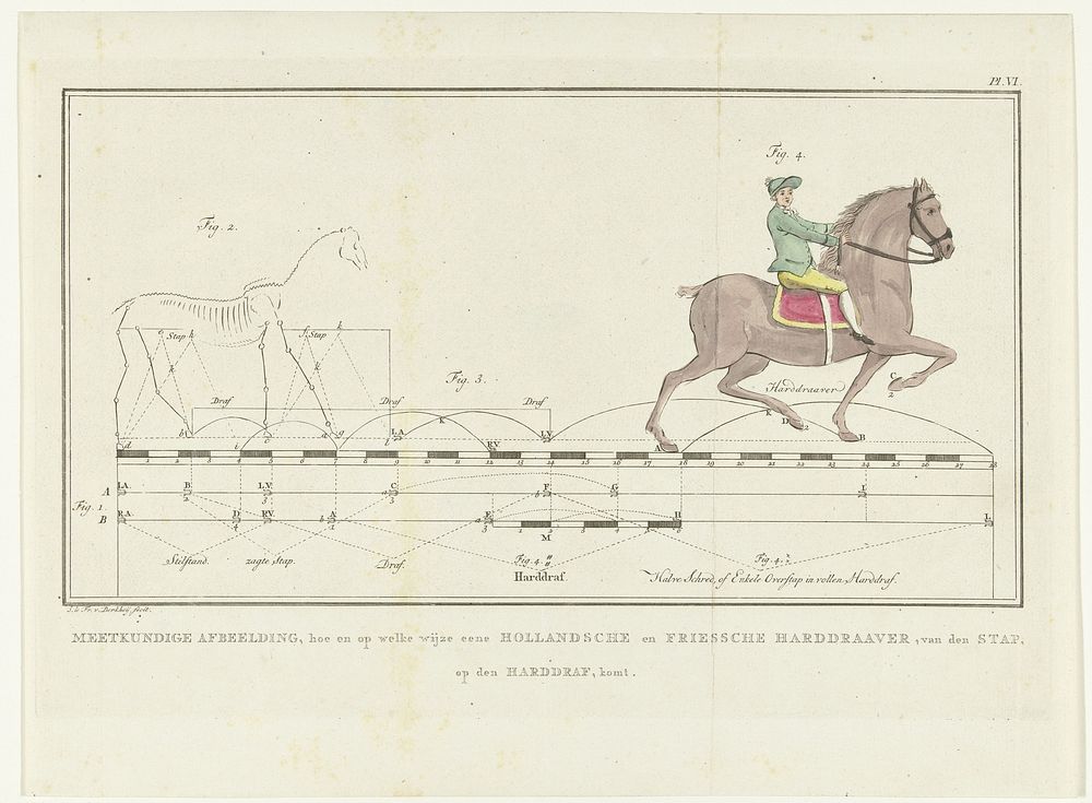 Beweging van paard van stap naar draf met afstanden op meetlat (1739 - 1812) by Johannes le Francq van Berkhey