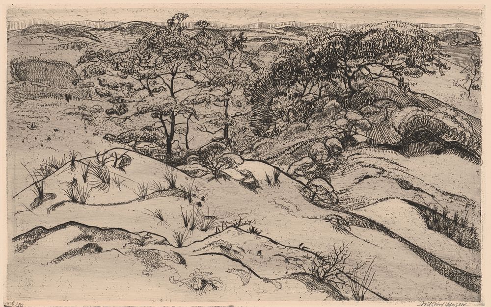 Duinlandschap (1902 - 1931) by Willem Jansen graveur