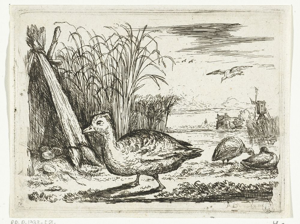 Eendennest (1639 - 1677) by Anthonie van Borssom