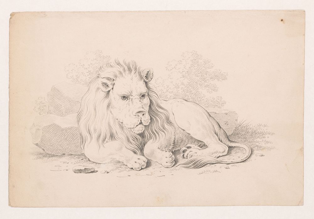 Liggende leeuw (1809 - 1859) by Pieter de Goeje