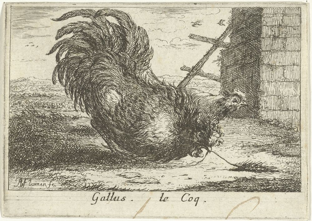 Haan met korenhalm (1659) by Albert Flamen, Jacques van Merlen and Lodewijk XIV koning van Frankrijk