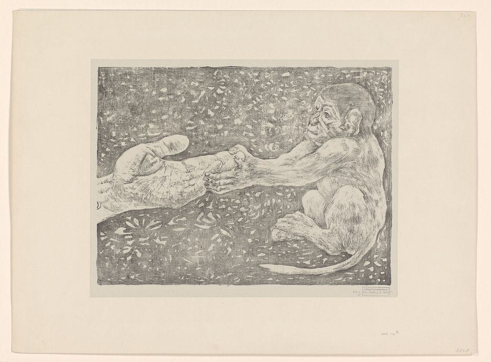 Aap die een toegestoken hand pakt (1878 - 1917) by Theo van Hoytema