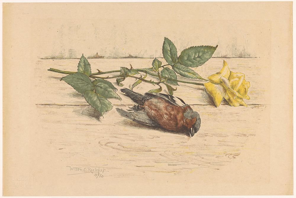 Dode vink liggend naast een roos (1884 - 1940) by Willem Roelofs II and Johannes Henricus de Bois