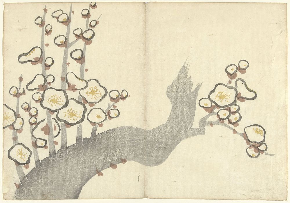 Pruimenbloesem (1826) by Nakamura Hôchû, Matsuda Shinsuke, Izumiya Shojiro and Ogata Korin