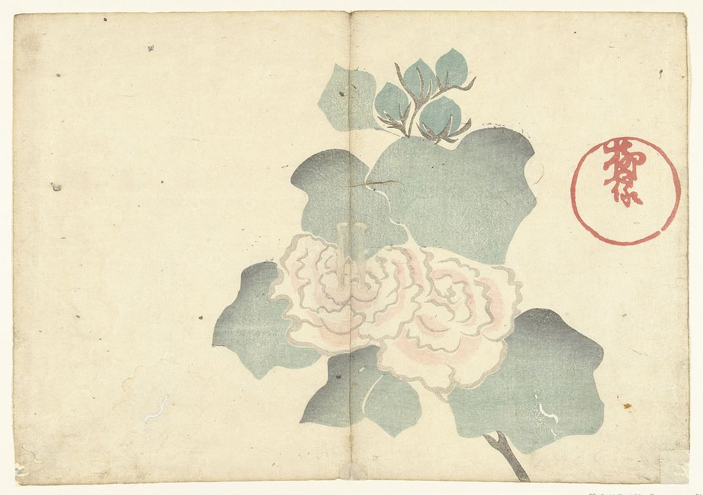 Pioenrozen (1826) by Nakamura Hôchû, Matsuda Shinsuke, Izumiya Shojiro and Ogata Korin