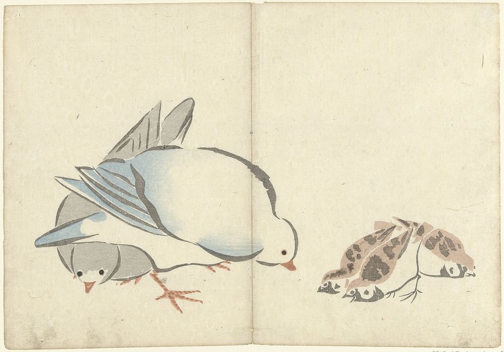 Duiven en mussen (1826) by Nakamura Hôchû, Matsuda Shinsuke, Izumiya Shojiro and Ogata Korin
