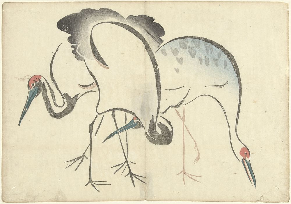 Drie kraanvogels (1826) by Nakamura Hôchû, Matsuda Shinsuke, Izumiya Shojiro and Ogata Korin