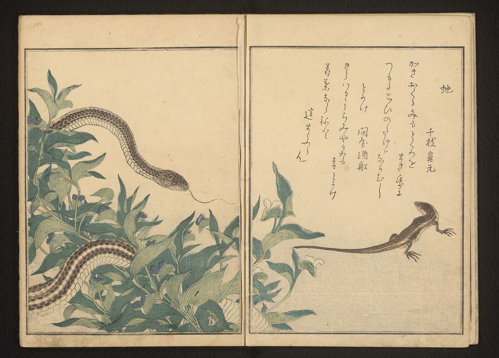 Snake and lizard by a bush (1788) by Kitagawa Utamaro and Tsutaya Juzaburo Koshodo