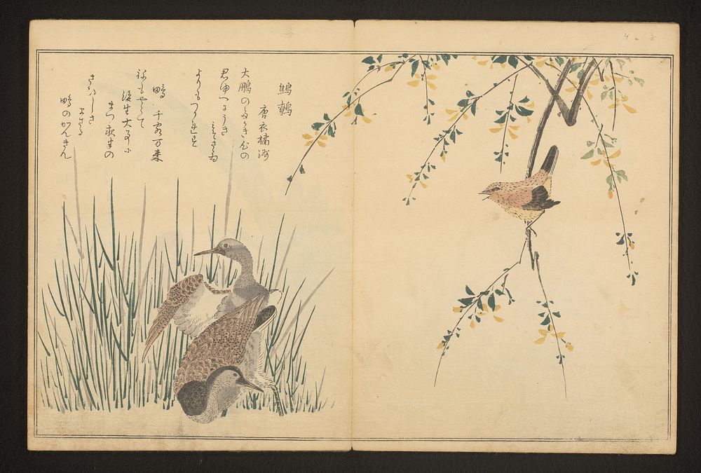 Mallard and kingfisher (c. 1796) by Kitagawa Utamaro and Tsutaya Juzaburo Koshodo