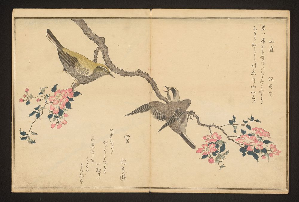 Tit and bush warbler (c. 1796) by Kitagawa Utamaro and Tsutaya Juzaburo Koshodo