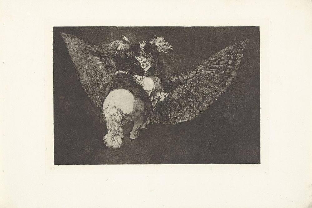Vliegende dwaasheid (1864) by Francisco de Goya, Francisco de Goya and Real Academia de Nobles Artes de San Fernando