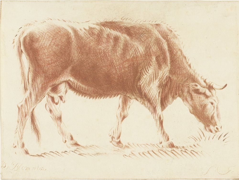 Grazende koe (1724 - 1798) by Jurriaan Cootwijck and Pieter van Bloemen