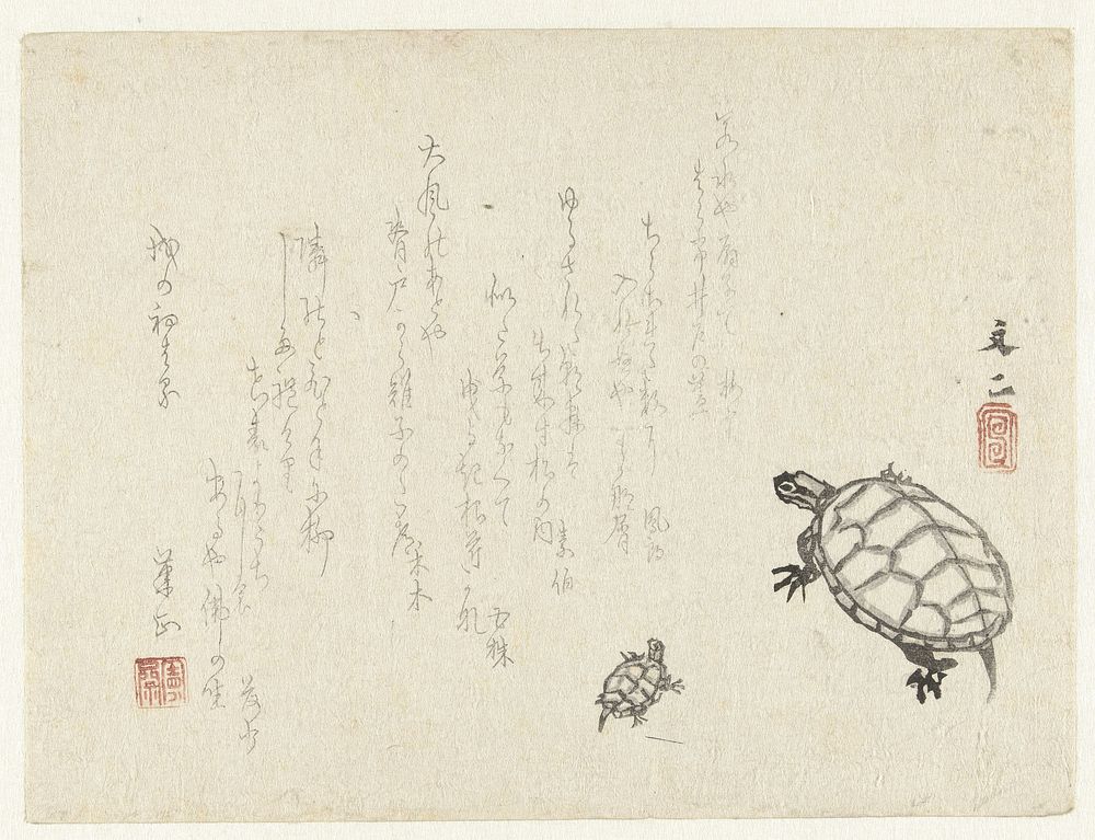 Twee schildpadden (1815 - 1839) by Tani Bunji