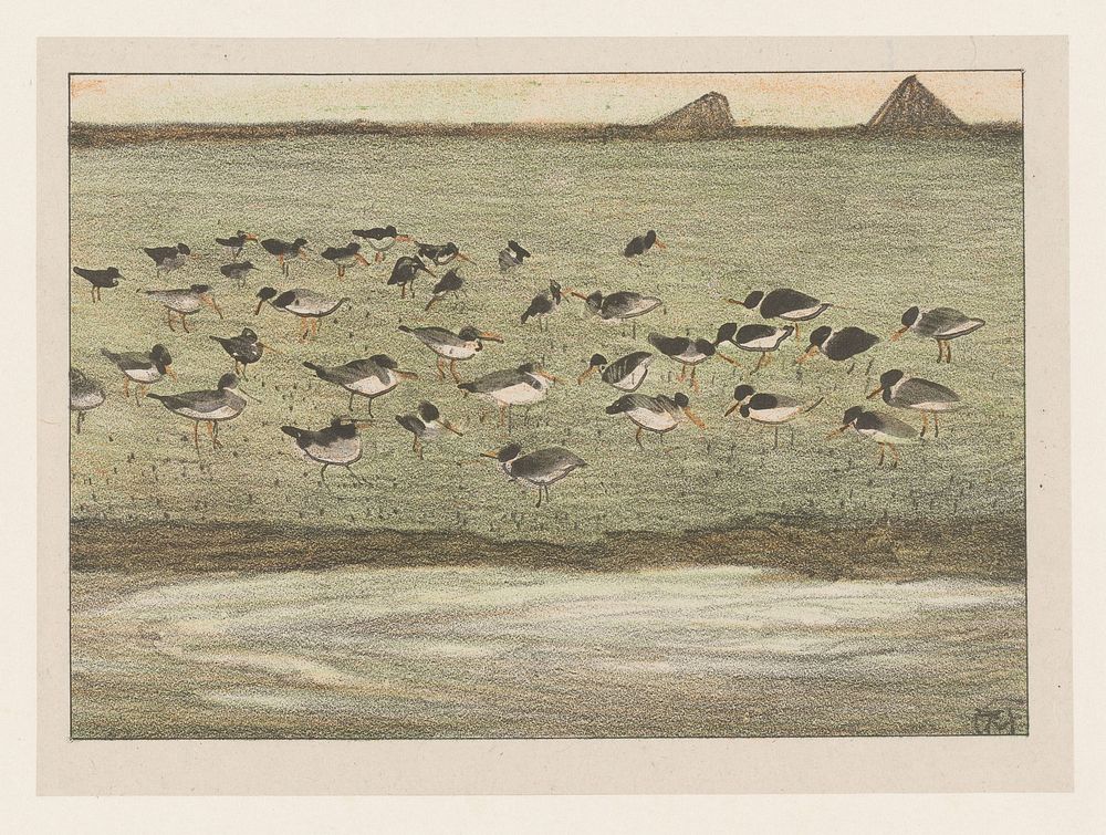 Scholeksters aan de waterkant (1878 - 1912) by Theo van Hoytema