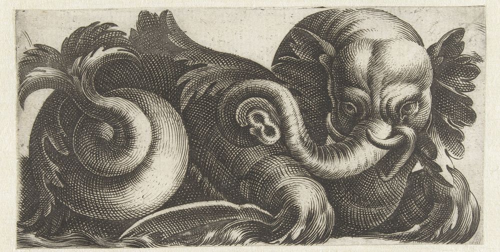 Zee-olifant met oren van bladeren (1580 - 1610) by Giovanni Andrea Maglioli, Giovanni Andrea Maglioli and anonymous