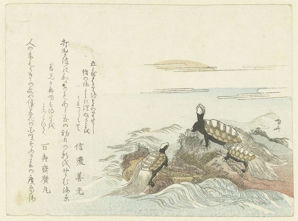 Turtles on a Rock (c. 1800 - c. 1805) by Ryûryûkyo Shinsai and Hyakujusai Hiromaru
