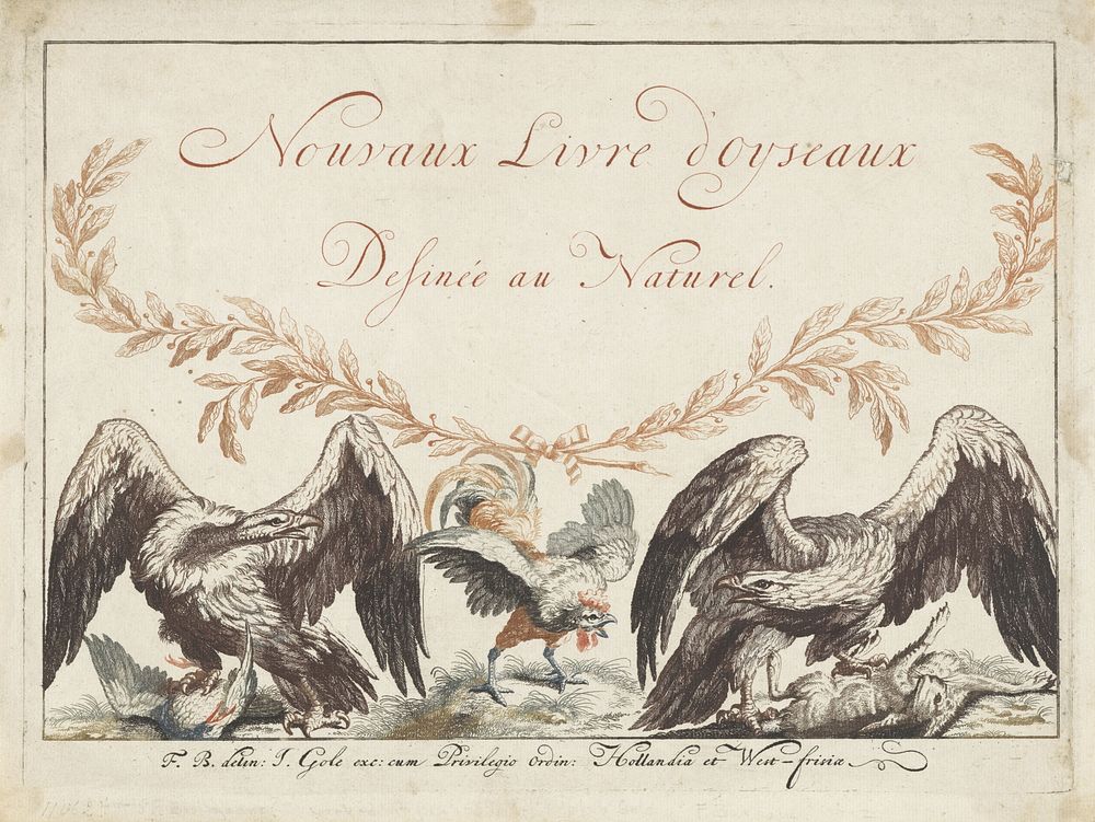 Verschillende vogels onder lauriertakken (1652 - 1754) by anonymous, Francis Barlow, Jacob Gole and Staten van Holland en…
