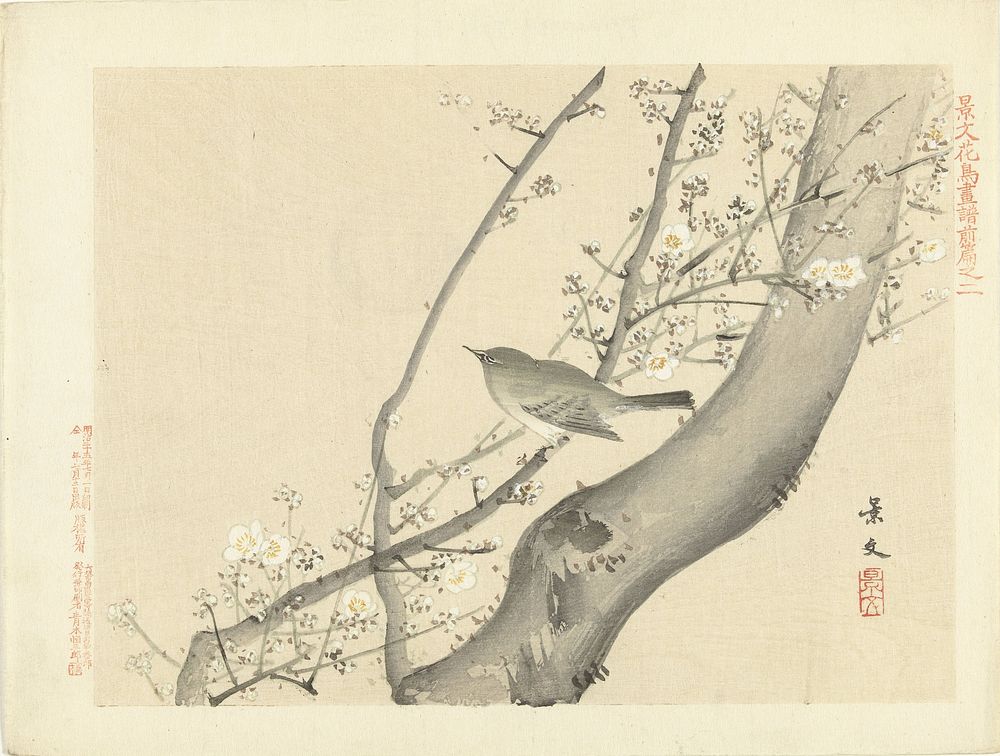 Vogeltje in boom met witte bloesem (1892) by Matsumura Keibun, Aoki Kôsaburô and Aoki Kôsaburô