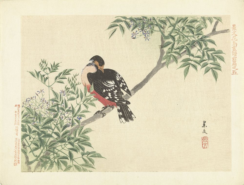 Zwart-rode vogel (1892) by Matsumura Keibun, Aoki Kôsaburô and Aoki Kôsaburô