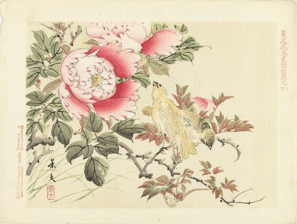 Vogels en pioenrozen (1892) by Matsumura Keibun, Aoki Kôsaburô and Aoki Kôsaburô