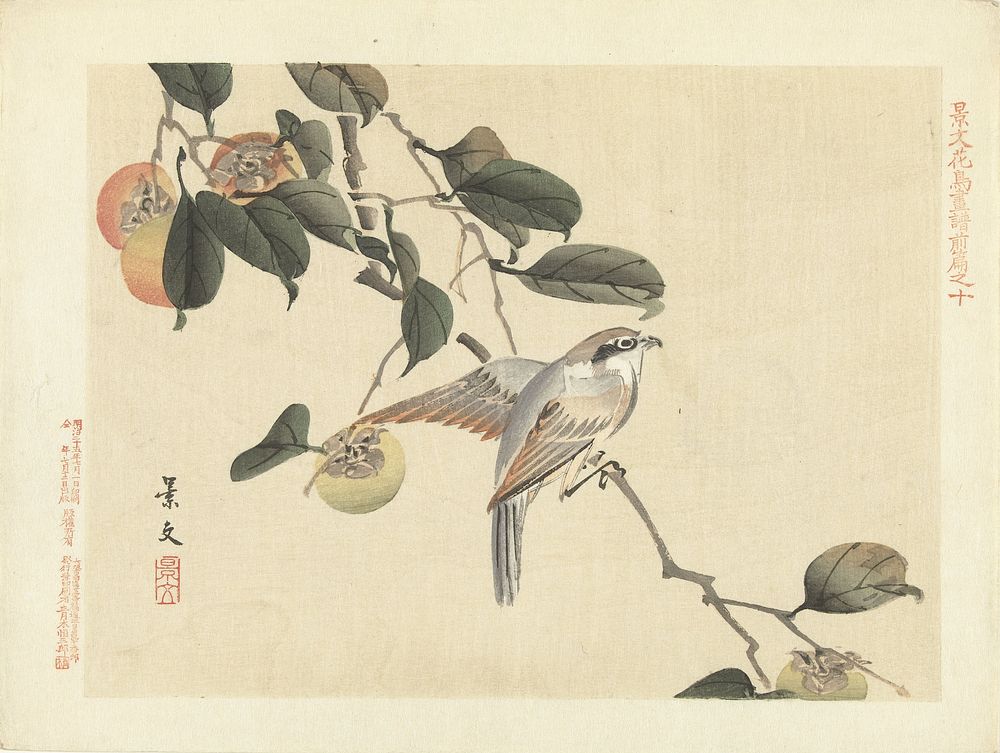 Vogel en kaki (1892) by Matsumura Keibun, Aoki Kôsaburô and Aoki Kôsaburô