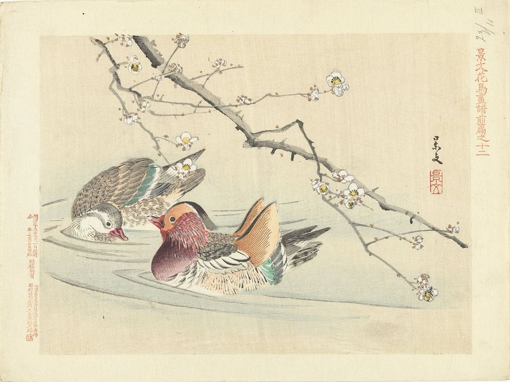 Twee eenden (1892) by Matsumura Keibun, Aoki Kôsaburô and Aoki Kôsaburô
