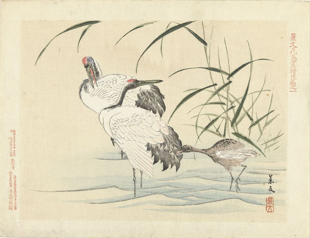 Twee kraanvogels met jong (1892) by Matsumura Keibun, Aoki Kôsaburô and Aoki Kôsaburô