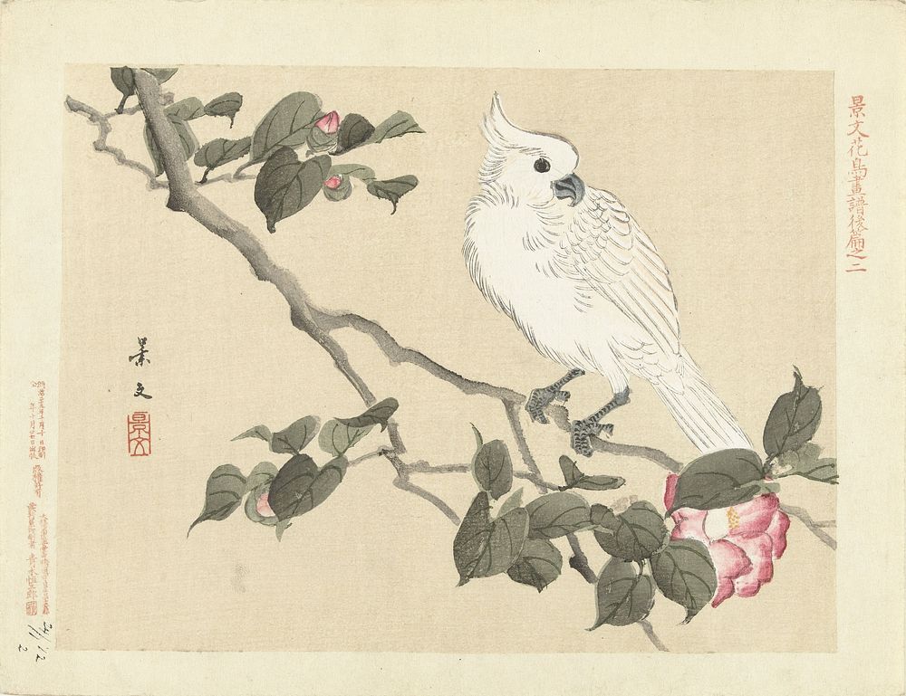 Witte kaketoe op cameliatak (1892) by Matsumura Keibun, Aoki Kôsaburô and Aoki Kôsaburô