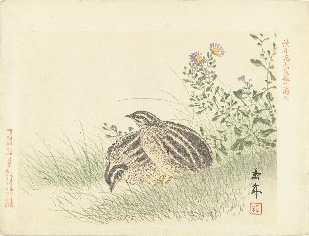 Twee kwartels (1892) by Imao Keinen, Aoki Kôsaburô and Aoki Kôsaburô