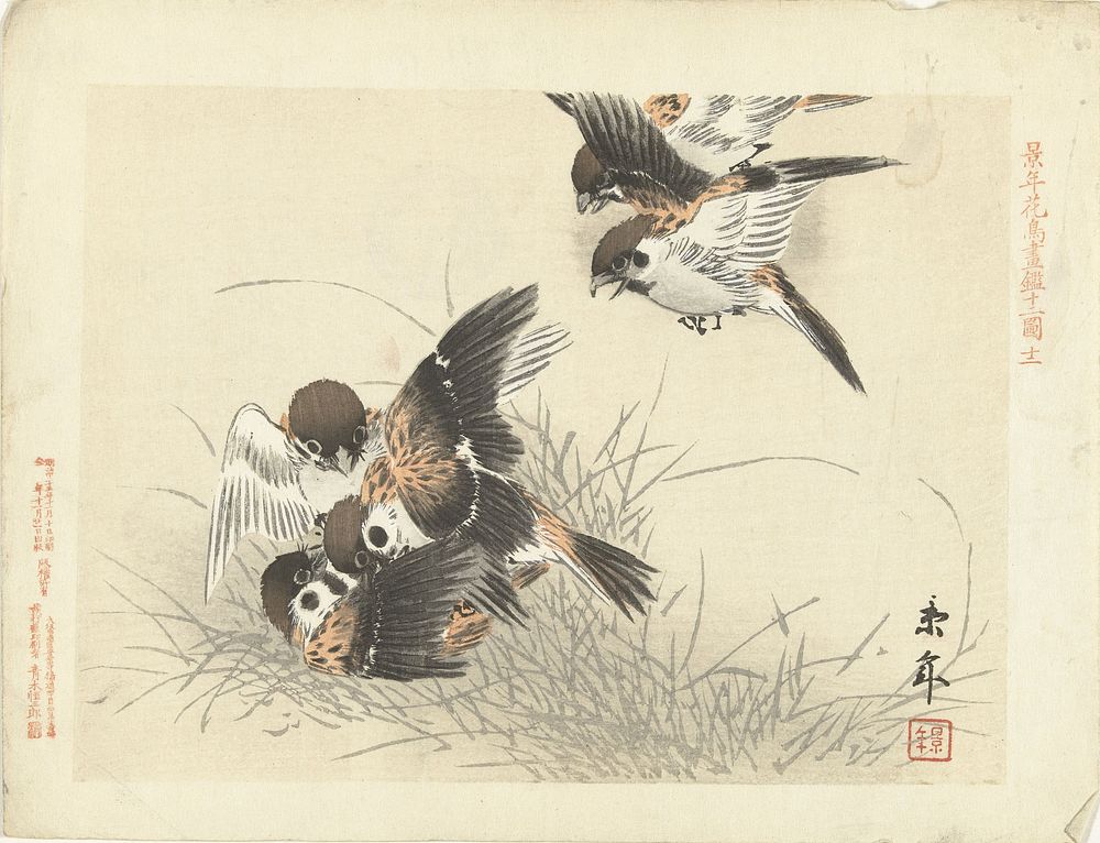 Vijf mussen in gevecht (1892) by Imao Keinen, Aoki Kôsaburô and Aoki Kôsaburô