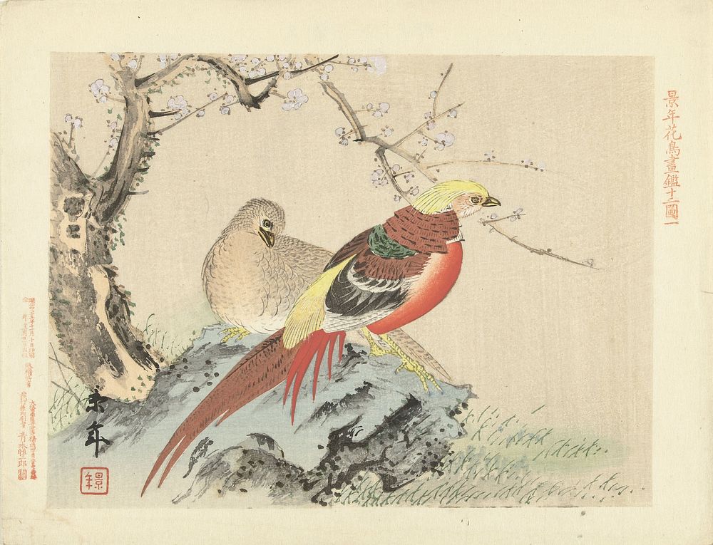 Koppel fazanten op rots (1892) by Imao Keinen, Aoki Kôsaburô and Aoki Kôsaburô