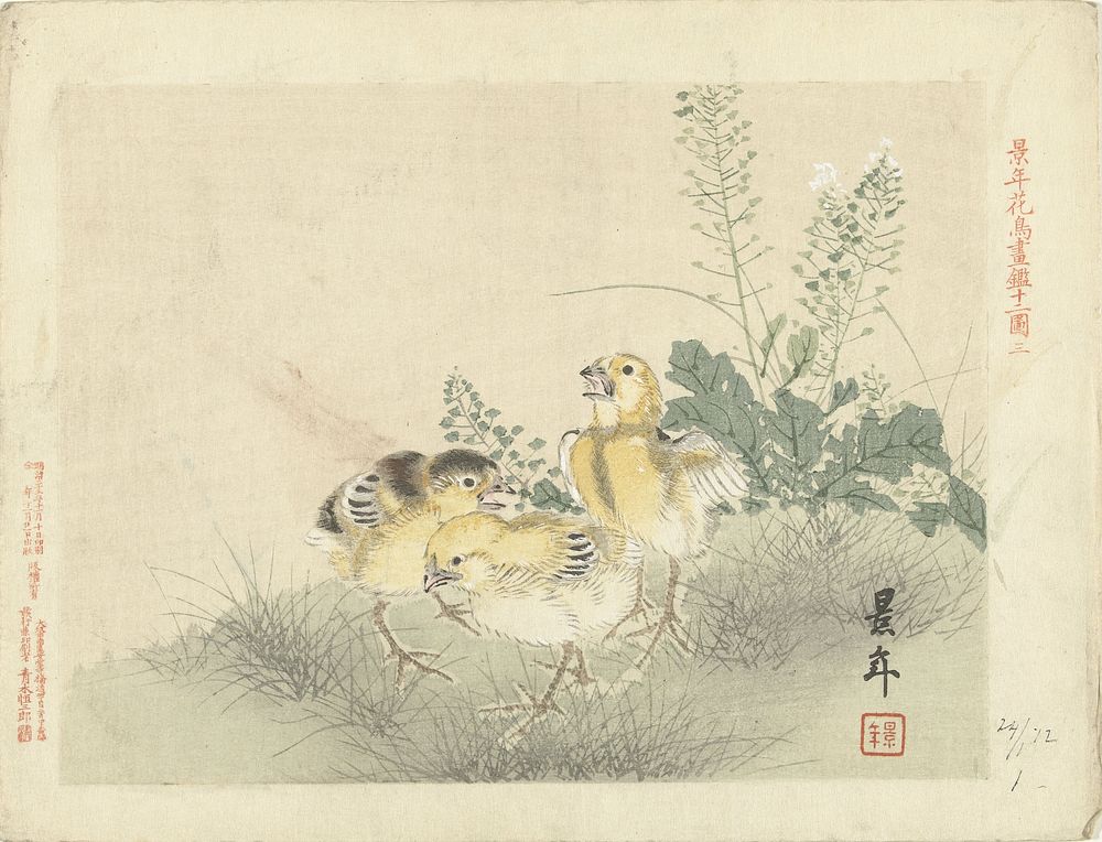Drie kuikens (1892) by Imao Keinen, Aoki Kôsaburô and Aoki Kôsaburô